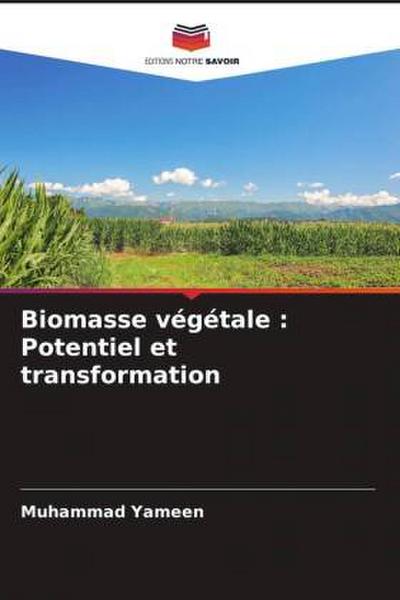 Biomasse végétale : Potentiel et transformation
