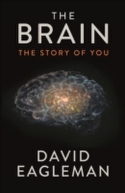 Brain