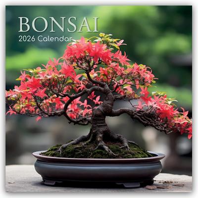 Bonsai - Bonsaibäume 2026 - 16-Monatskalender