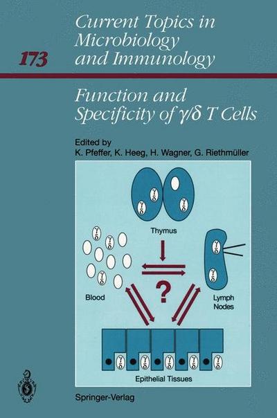 Function and Specificity of y/d T Cells