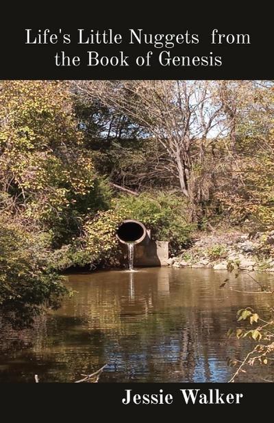 Life’s Little Nuggets  from the Book of Genesis