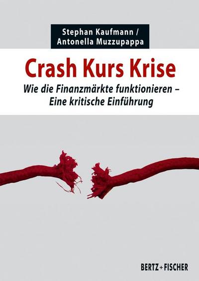 Crash Kurs Krise