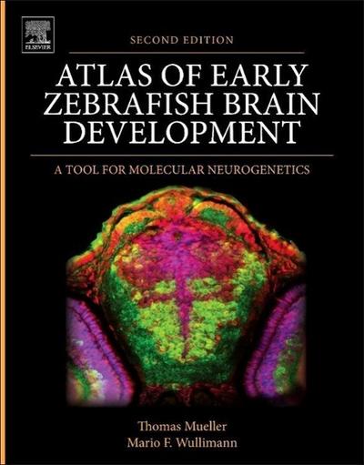 ATLAS OF EARLY ZEBRAFISH BRAIN