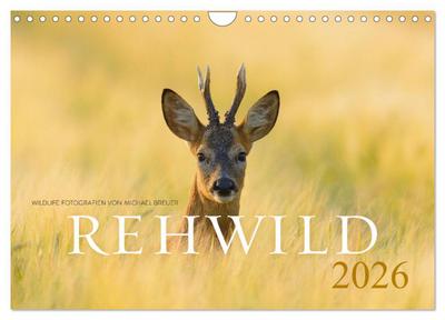 Rehwild 2026 (Wandkalender 2026 DIN A4 quer), CALVENDO Monatskalender