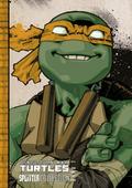 Teenage Mutant Ninja Turtles Splitter Collection 07 von Kevin Eastman | Buch