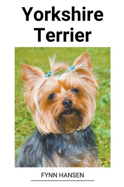 Hansen, F: NOR-YORKSHIRE TERRIER