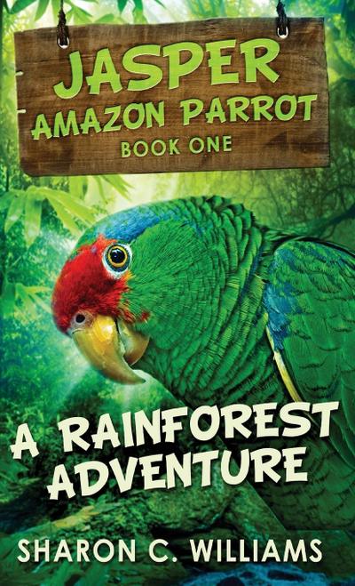 A Rainforest Adventure