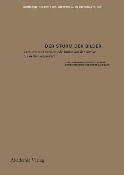 Der Sturm der Bilder