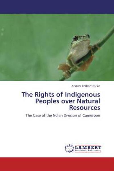 The Rights of Indigenous Peoples over Natural     Resources