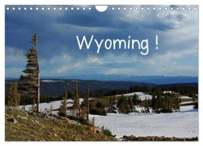 Wyoming! (Wandkalender 2026 DIN A4 quer), CALVENDO Monatskalender