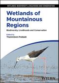 Wetlands of Mountainous Regions