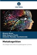 Metakognition