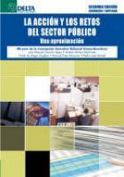 La acción y los retos del sector público : una aproximación