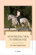 An Introduction to Dressage for New Equestrians