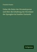 Ueber die Natur der Stromatoporen und über die Erh