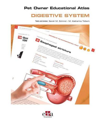 Pet Owner Educational Atlas Digesti / Digestive System