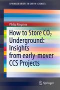 How to Store CO2 Underground: Insights from early-mover CCS Projects