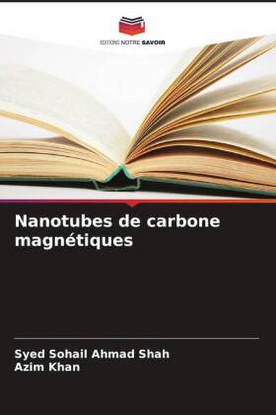 Nanotubes de carbone magnétiques