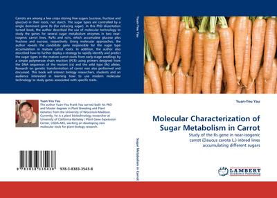 Molecular Characterization of Sugar Metabolism in Carrot