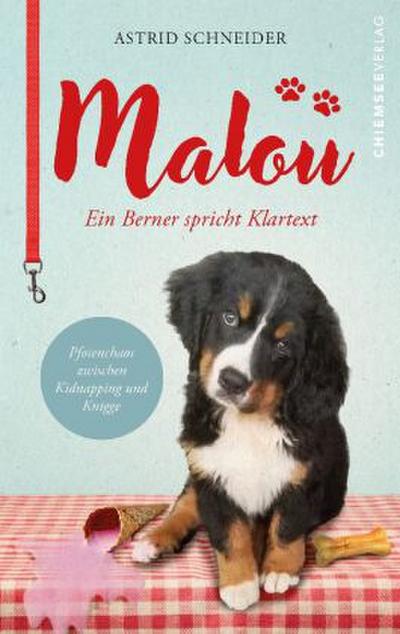 Malou - ein Berner spricht Klartext