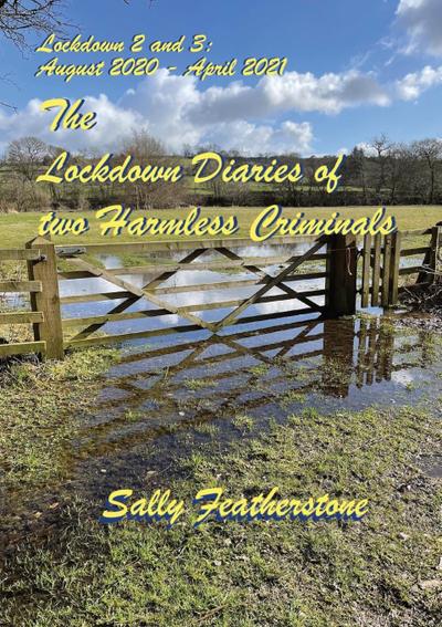 Featherstone, S: Lockdown Diary 2