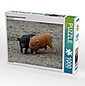 Spielende Minischwein Ferkel (Puzzle)