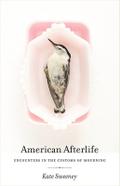American Afterlife