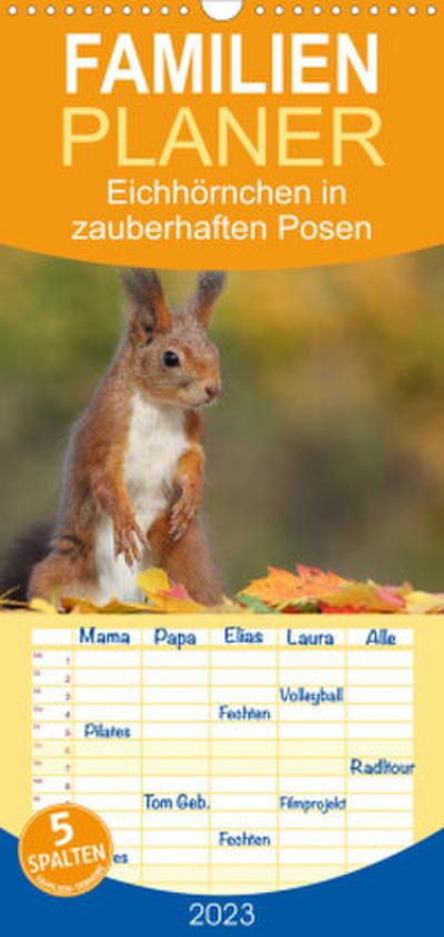 Familienplaner Eichhörnchen in zauberhaften Posen (Wandkalender 2023 , 21 cm x 45 cm, hoch)