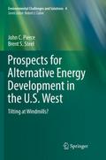 Prospects for Alternative Energy Development in th