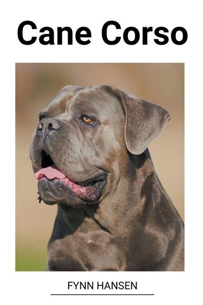 Hansen, F: Cane Corso