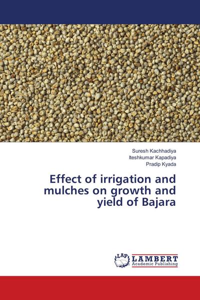 Effect of irrigation and mulches on growth and yield of Bajara
