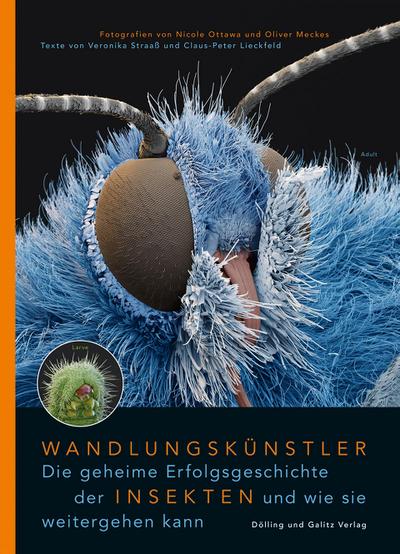 Wandlungskünstler. Die geheime Erfolgsgeschichte der Insekten und wie sie weitergehen kann