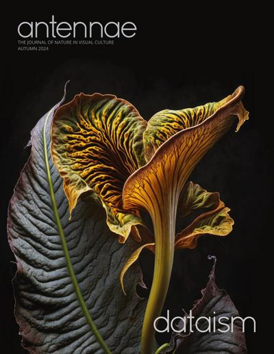 Antennae #65 Dataism