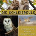 Die Schleiereule
