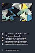 Transkulturelle Begegnungsräume: Ästhetische Strategien der Überlagerung, Pluralisierung, Simultaneität in den zeitgenössischen romanischen ... Literatur- und Kulturwissenschaft)