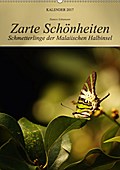 Zarte Schönheiten Schmetterlinge der Malaiischen Halbinsel (Wandkalender 2017 DIN A2 hoch) - Bianca Schumann