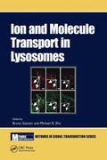 Ion and Molecule Transport in Lysosomes