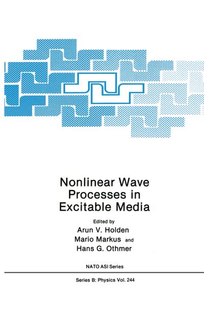 Nonlinear Wave Processes in Excitable Media