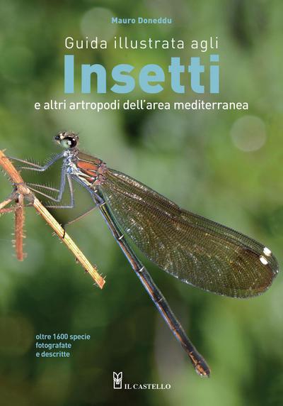 Guida illustrata agli insetti e altri artropodi dell’area mediterranea