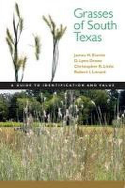 Grasses of South Texas