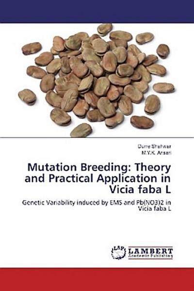 Mutation Breeding: Theory and Practical Application in Vicia faba L