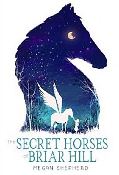 Secret Horses of Briar Hill