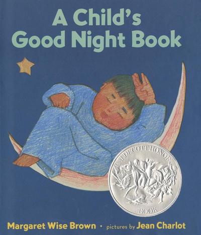 A Child’s Good Night Book