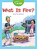 What Is Fire?