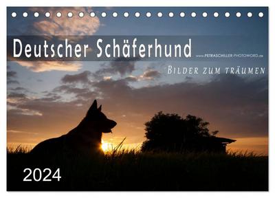 Deutscher Schäferhund / CH-Version (Tischkalender 2024 DIN A5 quer), CALVENDO Monatskalender