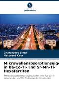 Mikrowellenabsorptionseigenschaften in Ba-Co-Ti- und Sr-Mn-Ti-Hexaferriten