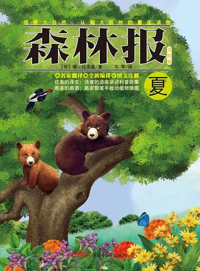 Forest Report*Summer