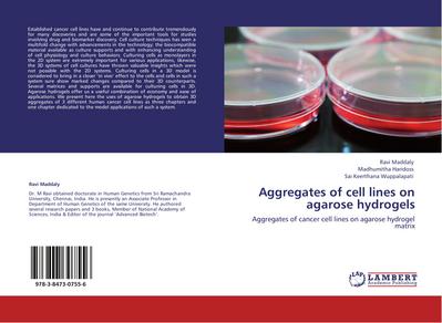 Aggregates of cell lines on agarose hydrogels