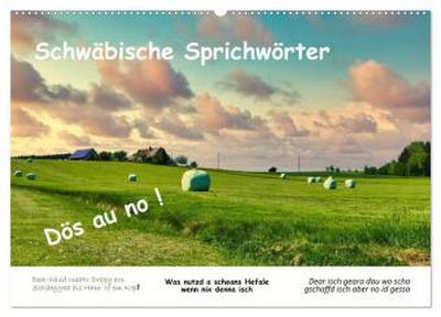03 Schwäbische Sprichwörter - Dös au no! (Wandkalender 2026 DIN A2 quer), CALVENDO Monatskalender