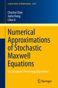 Numerical Approximations of Stochastic Maxwell Equ